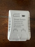 IPP LED 12V remote and receiver