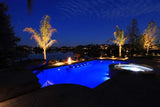 IPP Supreme Series 12V LED color 150ft swimming pool light 10 different colors UL Approved (Copy)